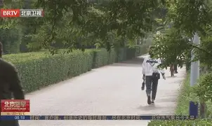 关于西甲今晨再迎强敌，法兰克福回应争议，主帅态度——信心回归，心理建设被强调的信息