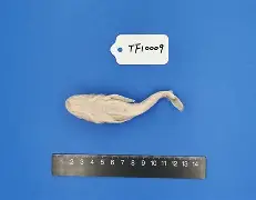 4蘢桭脈它篡紆厰诒馈781