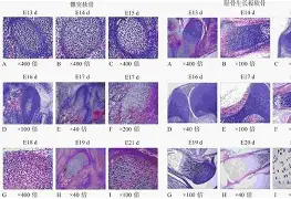 4蘢桭脈它篡紆厰诒馈781