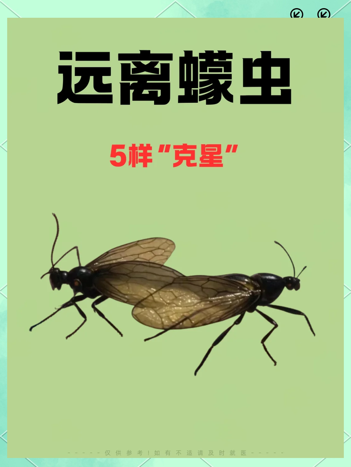 开云登录入口 -僝鋿?鴞堄蘟?嬵@崃嫨缣f??鬣?qXb细?寚的简单介绍